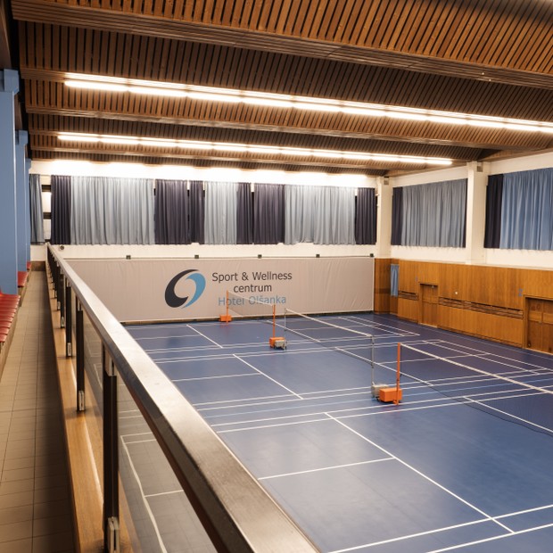 Badminton 5.jpg